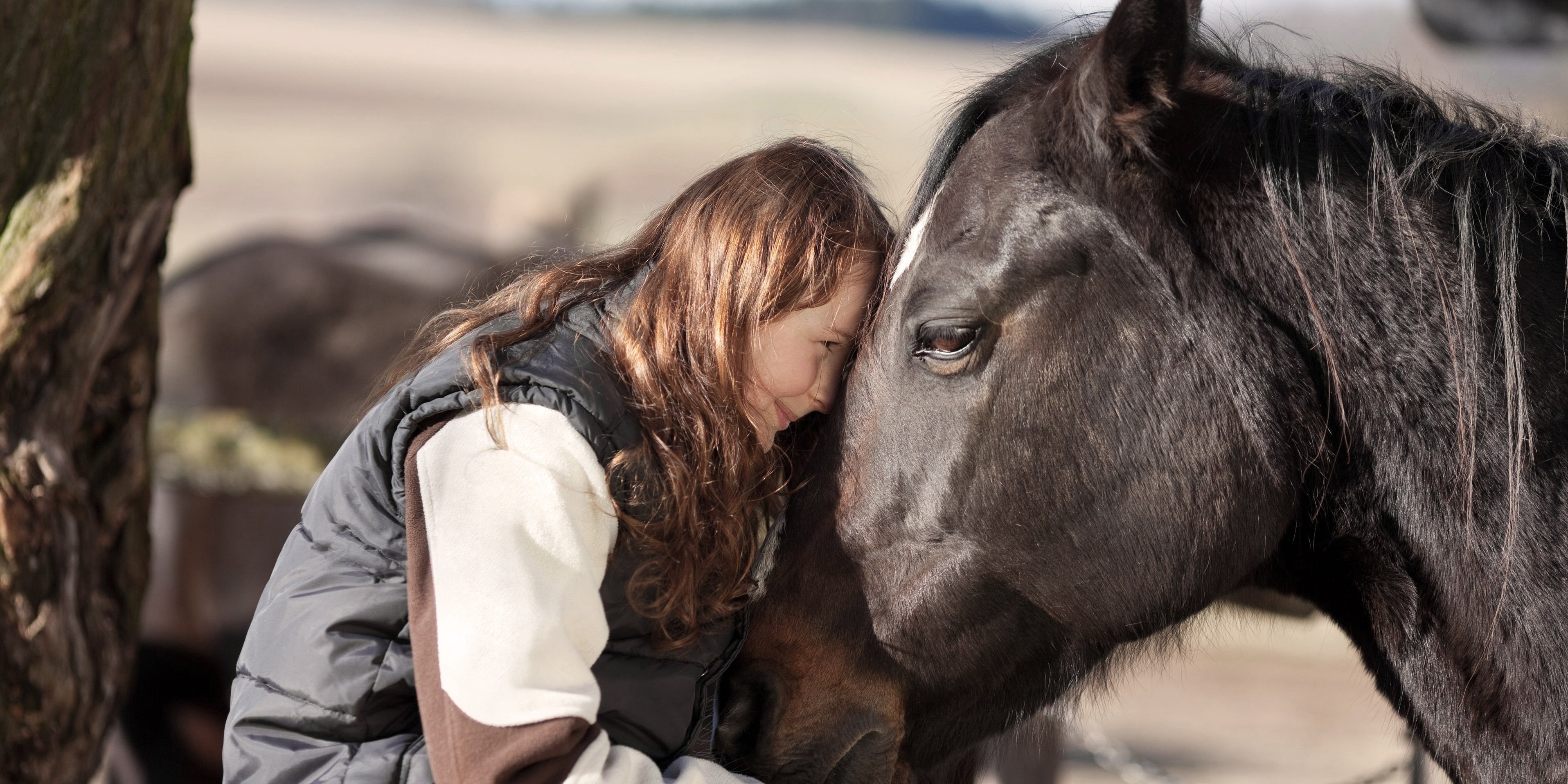 Why Horses How Equine Therapy helps vulnerable youth